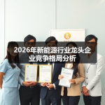2026年新能源行业龙头企业竞争格局分析