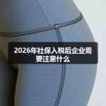 2026年社保入税后企业需要注意什么