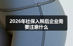 2026年社保入税后企业需要注意什么