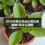 2026年新公司法认缴出资期限5年怎么理解