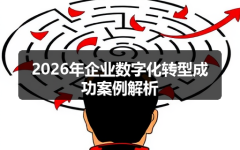 2026年企业数字化转型成功案例解析