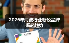 2026年消费行业新锐品牌崛起趋势