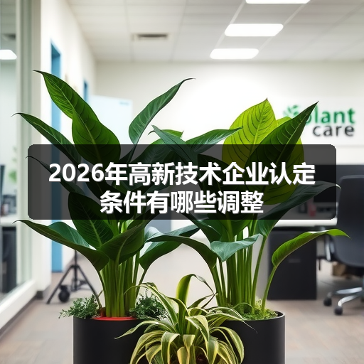 2026年高新技术企业认定条件有哪些调整 正文配图