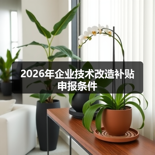 2026年企业技术改造补贴申报条件 正文配图